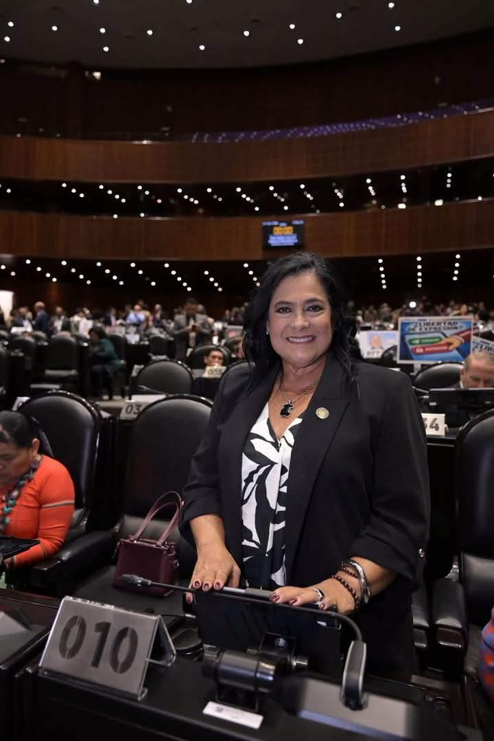 "Lo barato sale caro", advierte la diputada Blanca Narro y avala candado total a la piratería digital y física