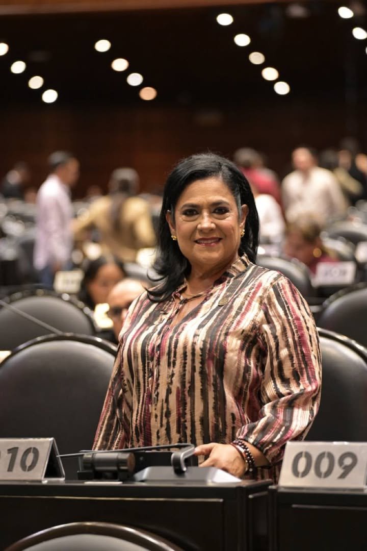 México avanzó en la armonización de sus reglas de propiedad intelectual con los estándares internacionales…
