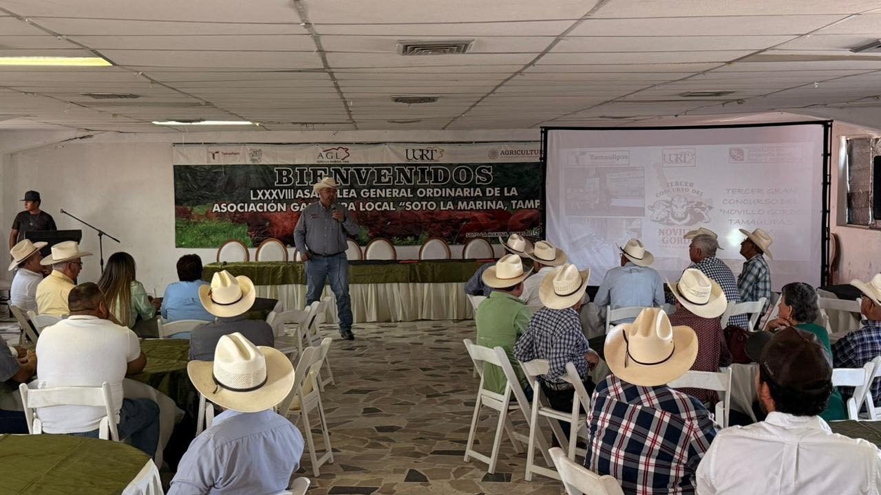 Regresó el «Novillo gordo Tamaulipas»